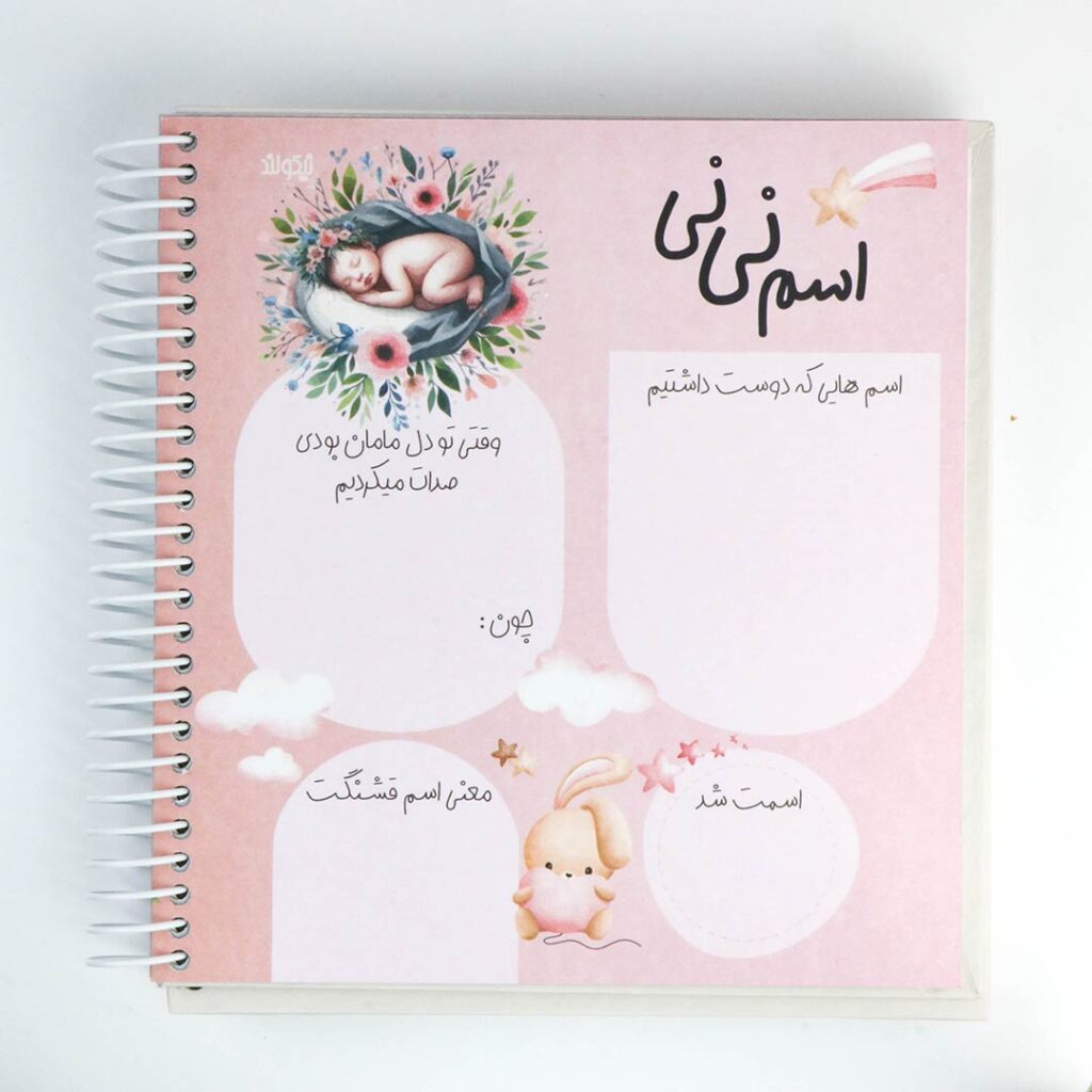 دفتر خاطرات نی نی
