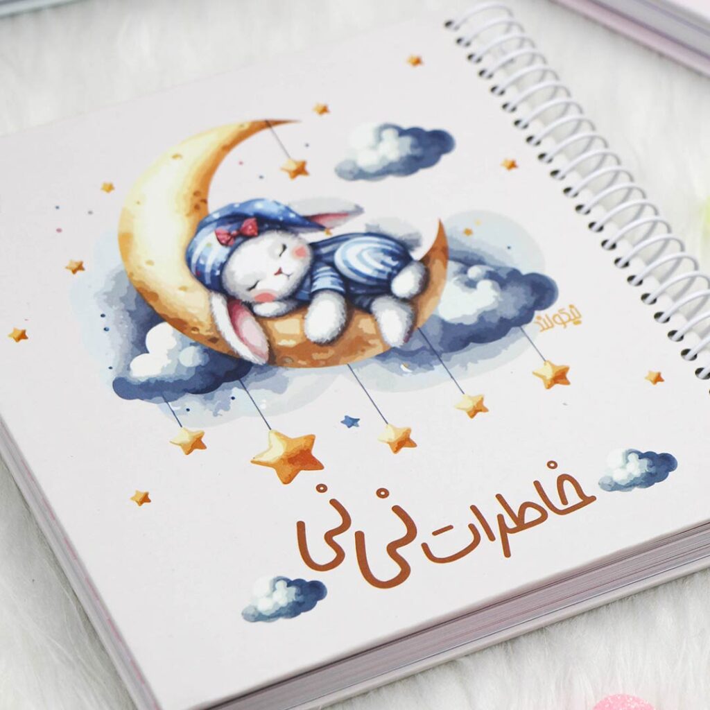 دفتر خاطرات نی نی
