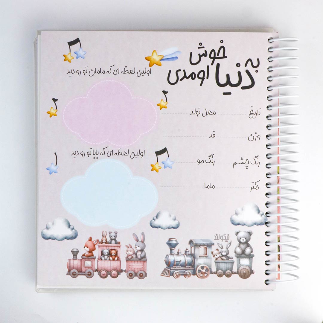 دفتر خاطرات نی نی
