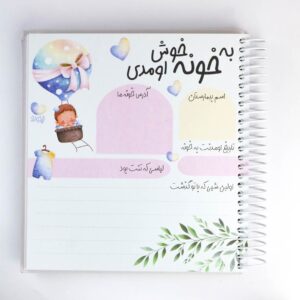 دفتر خاطرات نی نی