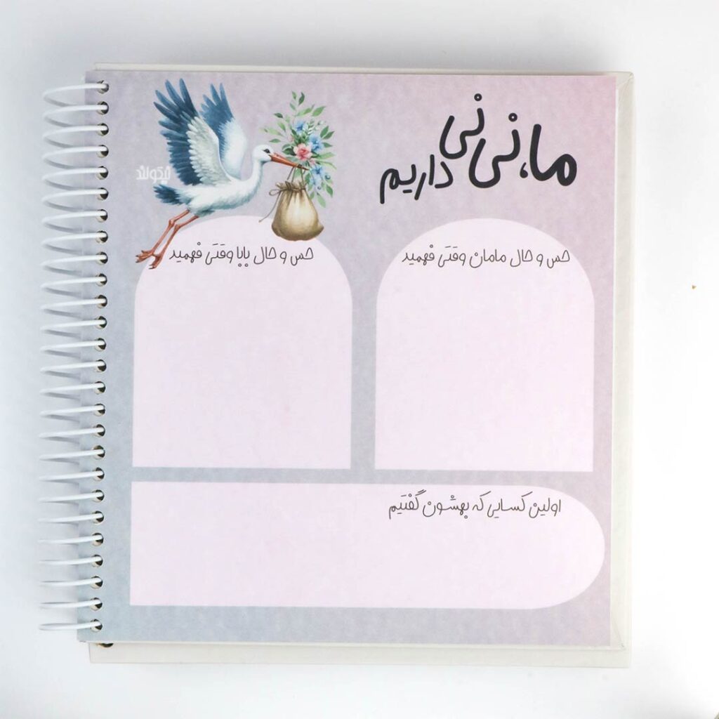 دفتر خاطرات نی نی