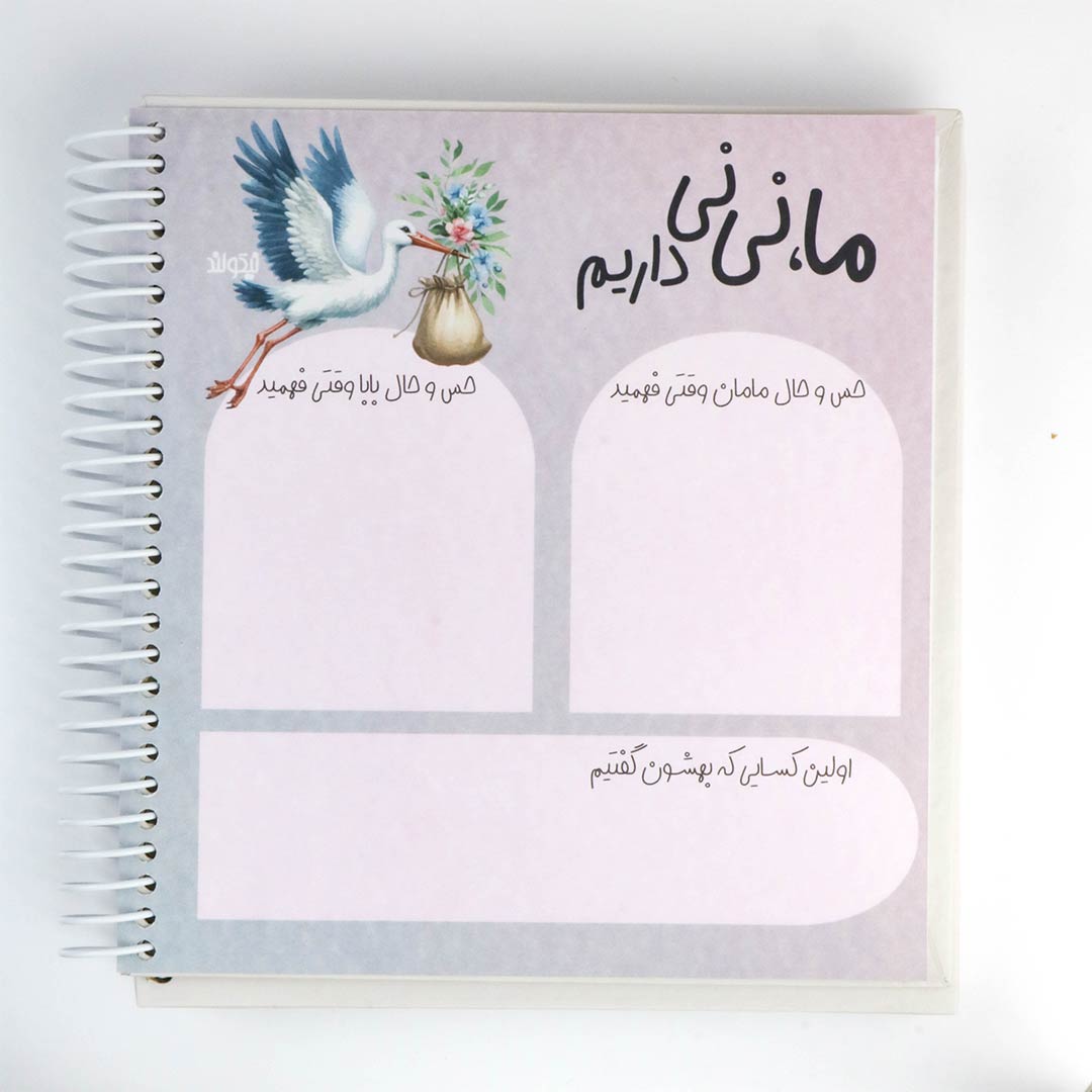 دفتر خاطرات نی نی