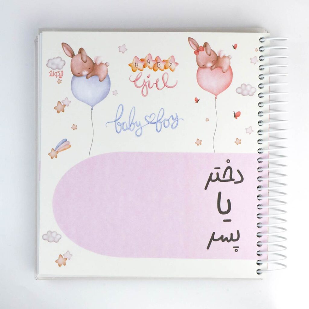 دفتر خاطرات نی نی