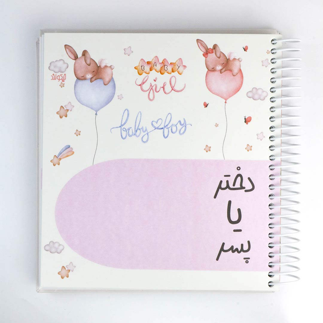 دفتر خاطرات نی نی