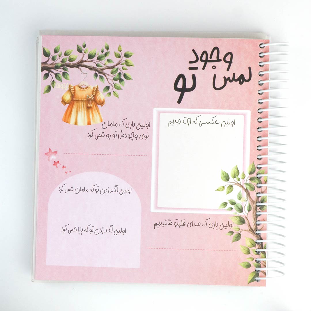 دفتر خاطرات نی نی