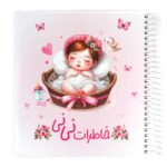 دفتر خاطرات نی نی