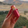 بالم لب عروسکی