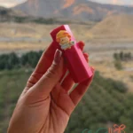 بالم لب عروسکی