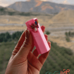 بالم لب عروسکی
