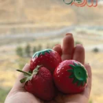 بالم لب توت فرنگی ویتامینه مناسب انواع پوست