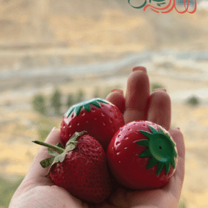 بالم لب توت فرنگی